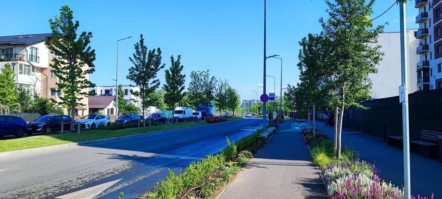 Teren Construcții intravilan de 5000 mp, în Prelungirea Ghencea
