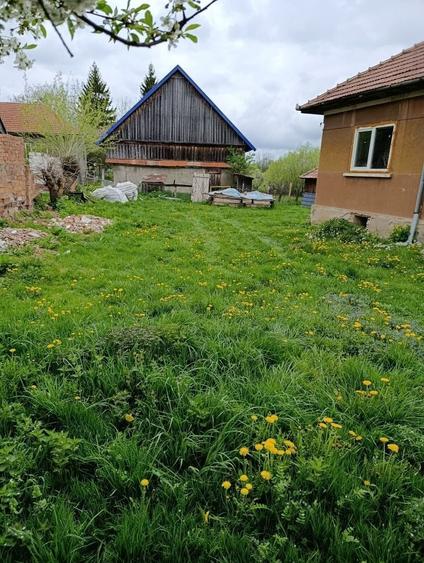 Casă cu 3 camere în Dângău Mare
