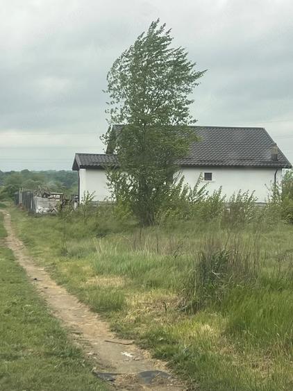 Teren de 7500 mp, în Brestei