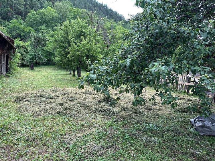 Casă cu 4 camere în Coza