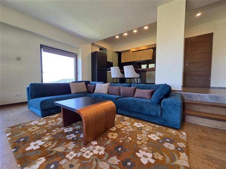 Apartament cu 3 camere decomandat, mobilat în Drumul Poienii