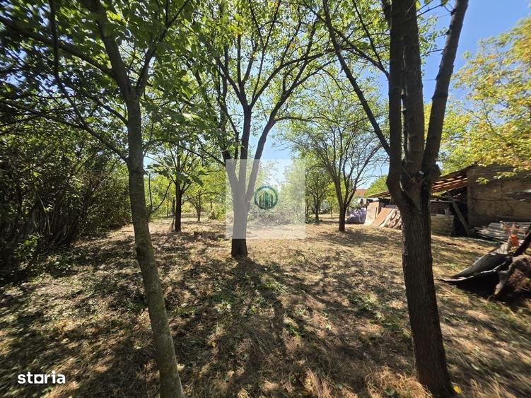 Casa cu teren 2.340 mp si toate utilitatile, Santandrei, 5 min de Deva - 17