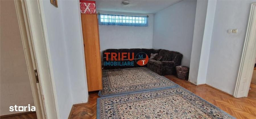 Casă cu 4 camere cu Teren 1380 Mp în Partoș