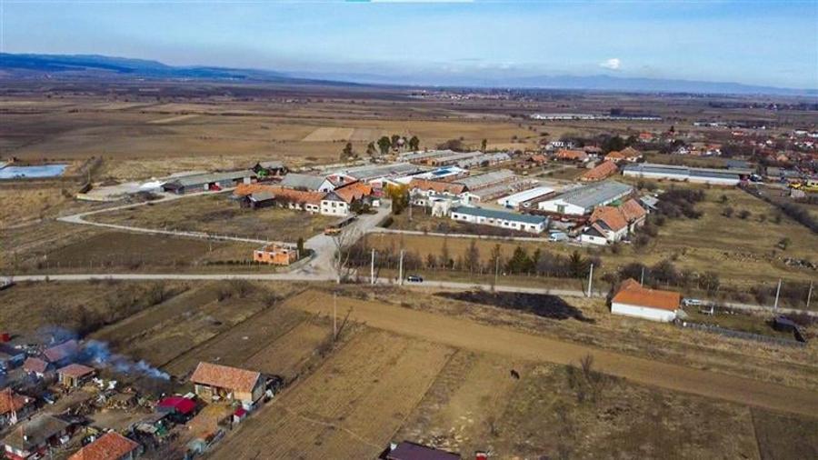 Spațiu comercial, de 9,000 mp, în Boroșneu Mare