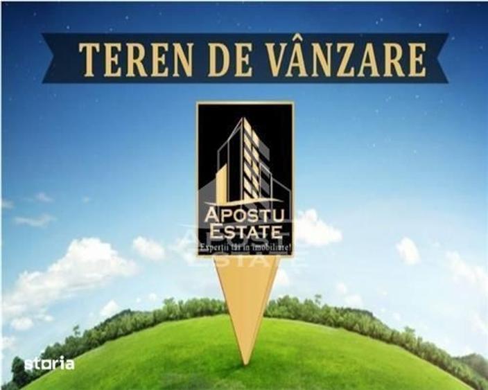 Teren extravilan de 2500 mp in Minis Zero comision - 1