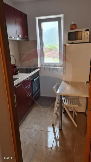 Apartament cu 2 camere decomandat, mobilat în Sud