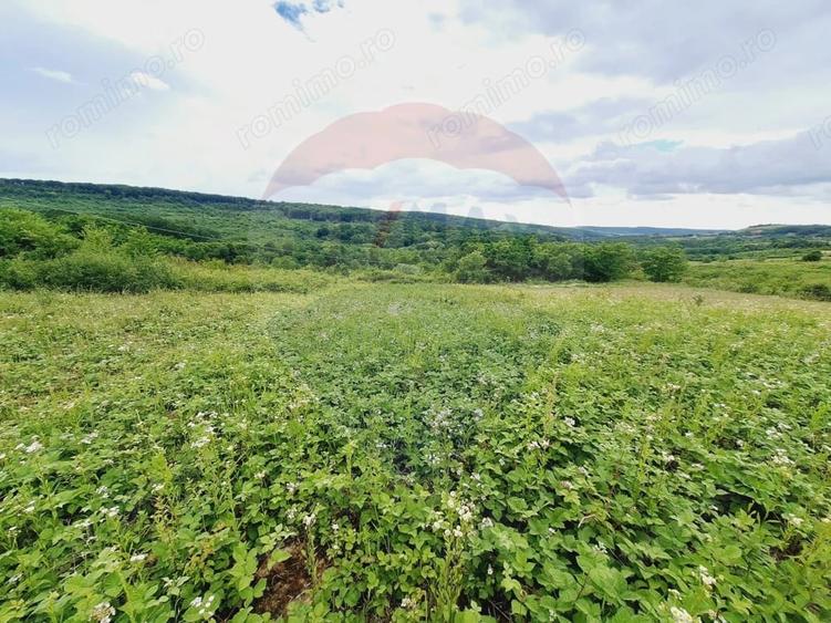 Teren de 5755 mp, în Hidiș