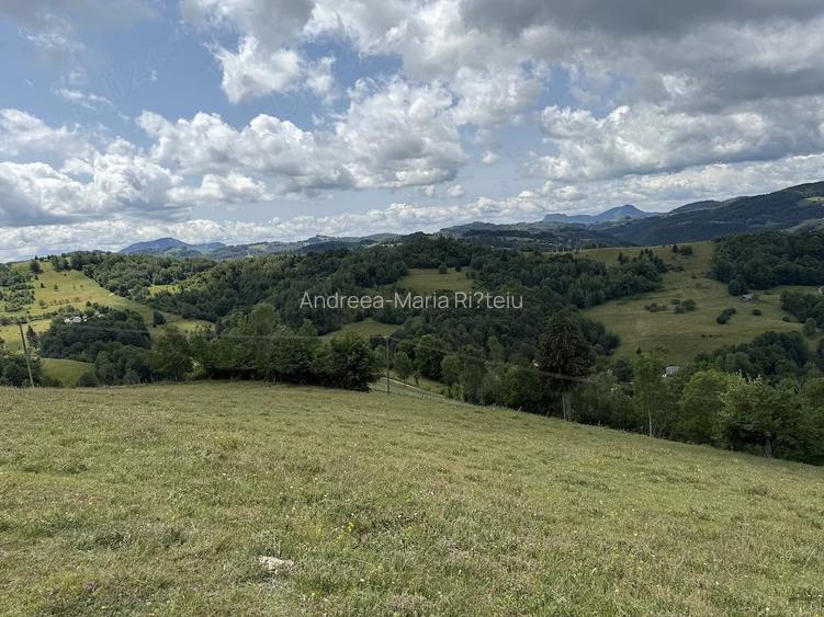 Teren de 5000 mp, în Năpăiești