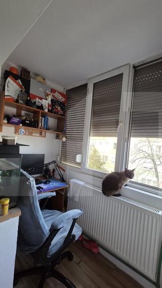 Apartament cu 2 camere semidecomandat, mobilat în Iosefin