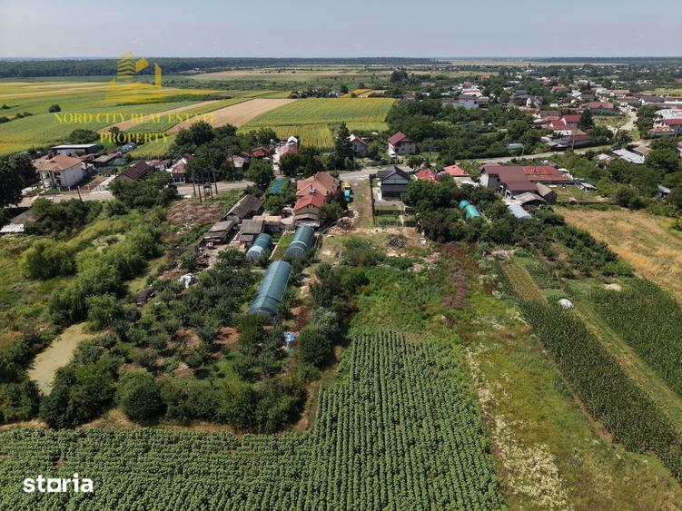 Teren de 2700 mp, în Ciocănești