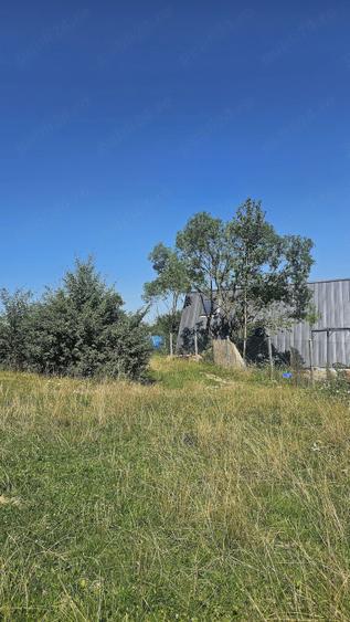 Teren de 2200 mp, în Tohănița