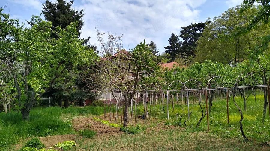 Vand casa in Cuvin com.Ghioroc jud.Arad - 8