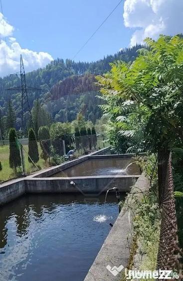 Teren în Crucea