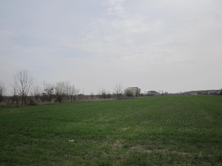 Teren Construcții intravilan de 646 mp, în Domnești
