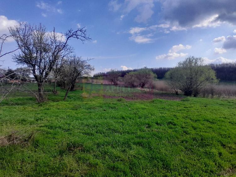 Teren Construcții intravilan de 3400 mp, în Buturugeni
