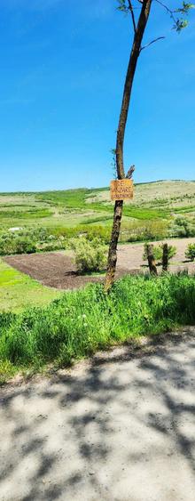 Teren de 2900 mp, în Căianu