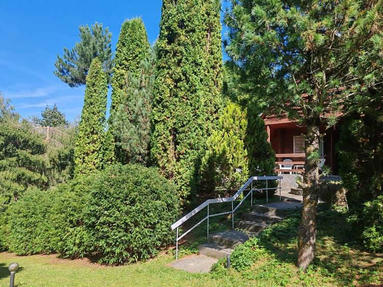Casă individuală cu 4 camere cu Teren 1780 Mp în Piatra Arsă