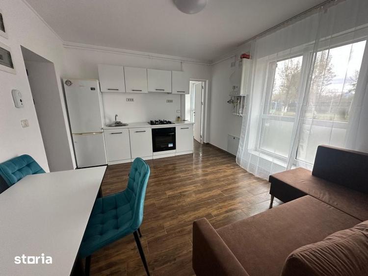 Apartament/Studio 2 camere si Curte Pet Friendly - 6