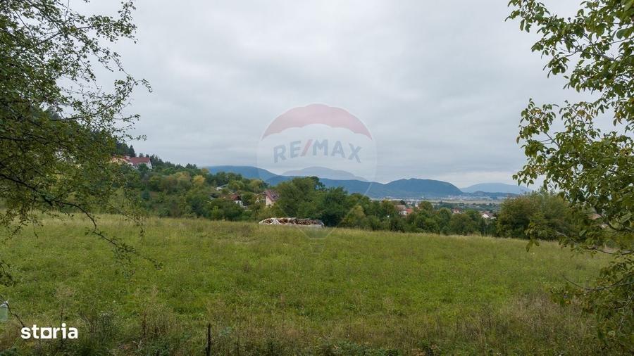 Spațiu comercial, în Poiana Angelescu