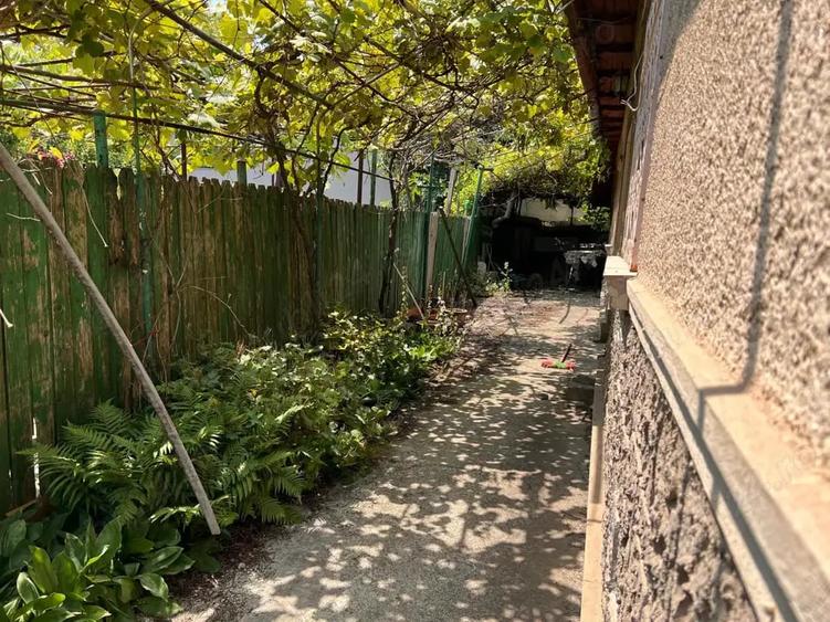 Teren de 431 mp, în Viile Noi