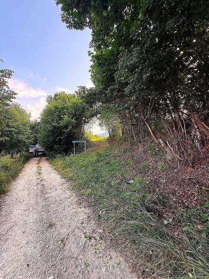 Teren cu PUZ, 11600mp, Brasov Poiana Marului, pe ruta via Transilvanica - 2