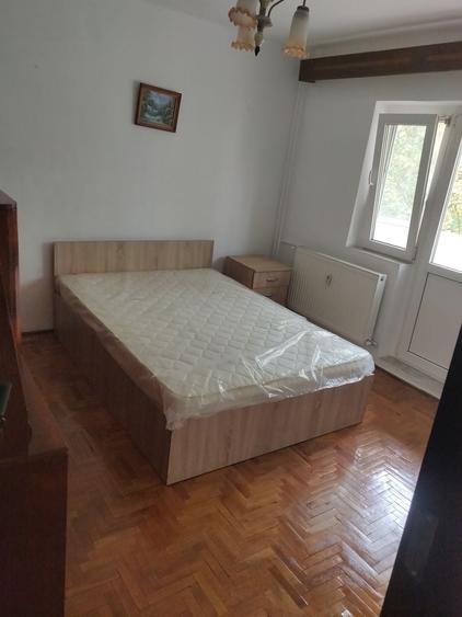 Apartament cu 2 camere decomandat în Nufărul