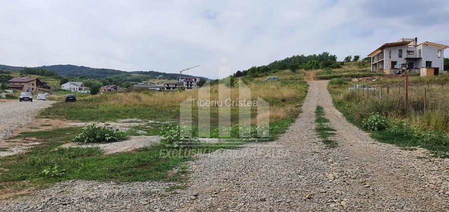 Teren Intravilan | 1347 mp | 35 ml deschidere | Cetate