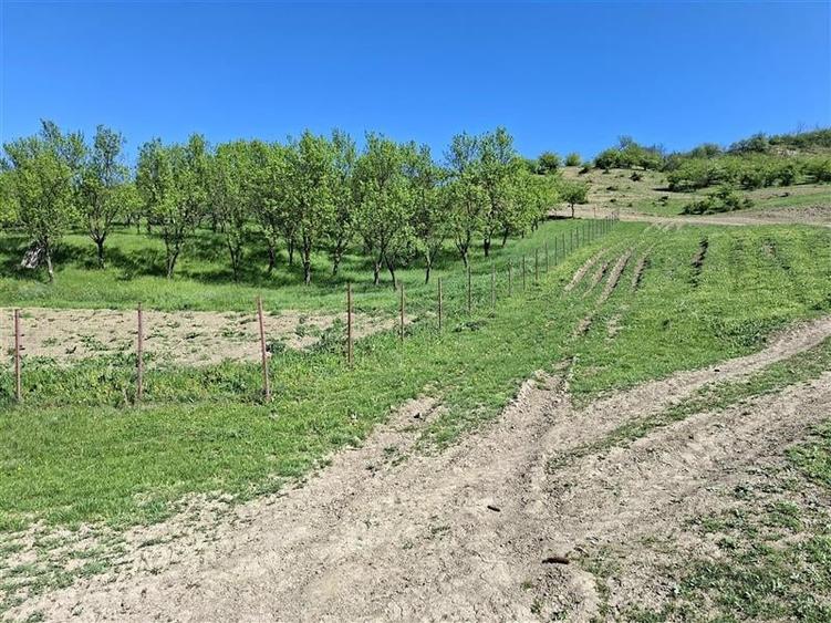 Teren Construcții intravilan de 1900 mp, în Iclozel