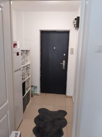 Garsonieră semidecomandată, mobilată în Balta Albă