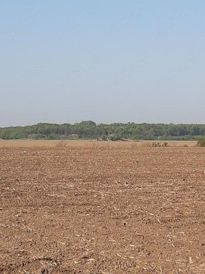 Teren de 4850 mp, în Dobreni