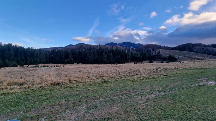 Teren Construcții intravilan de 4800 mp, în Poiana Brașov