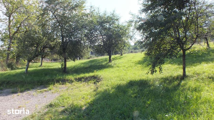 Teren de 1364 mp, în Bran