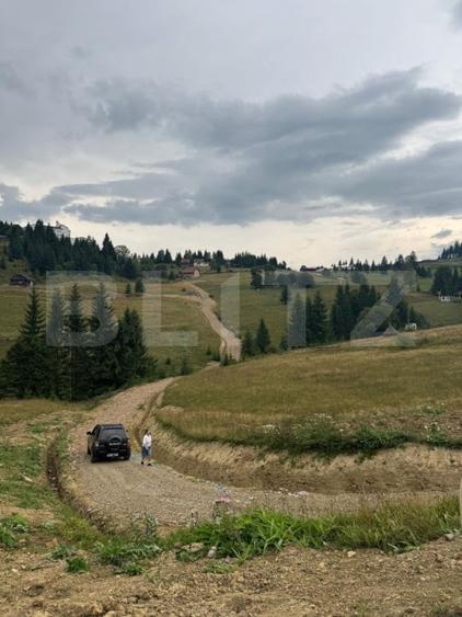Teren Construcții intravilan de 1000 mp, în Piatra Fântânele