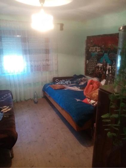 Casa de vanzare pe Raul Mic in Cugir