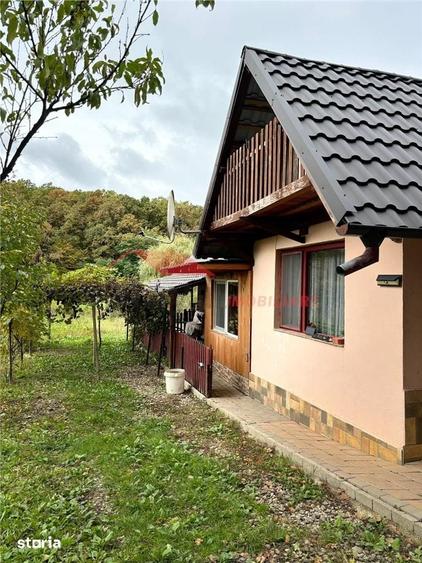 Casă cu 3 camere cu Teren 1700 Mp în Central