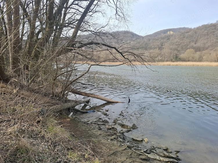 Teren de 3800 mp, în Fedeleșoiu