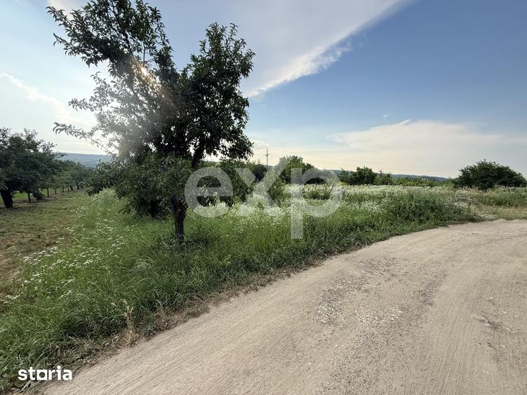 Teren de 1102 mp, în Central