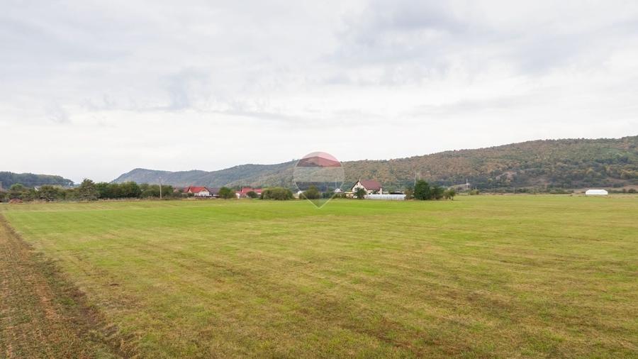 Teren agricol extravilan de 25120 mp, în Podu Oltului