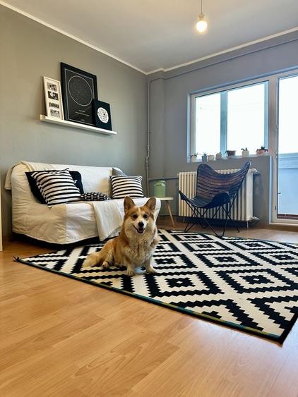Inchiriez apartament 2 Camere Iancului (7 min Metrou) Pet-Friendly | Decomandat, AC in fiecare camera | Gata de mutare - 1