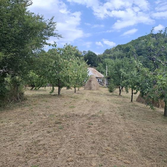 Teren de 7500 mp, în Cărpeniș