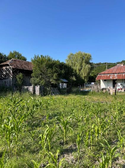 Casă cu 3 camere în Central
