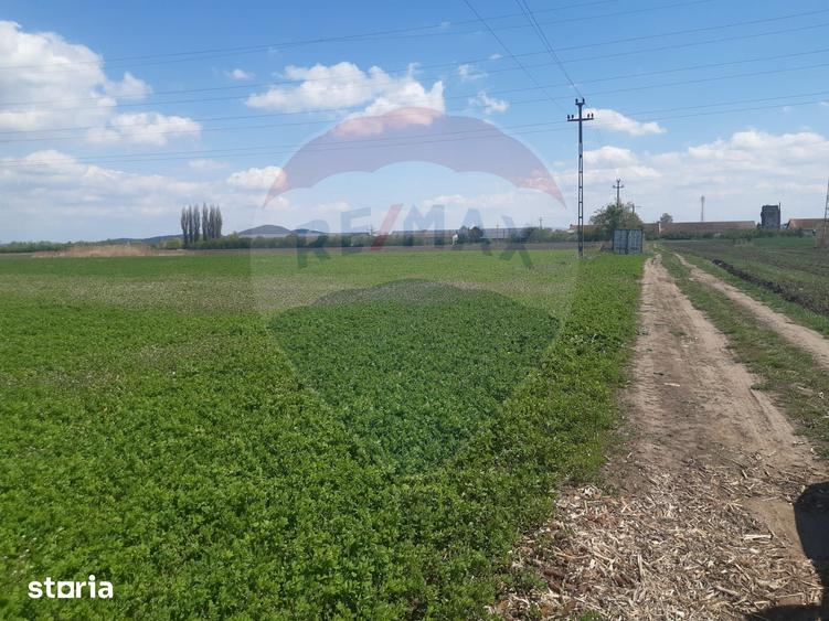 Teren 2730mpx2 Brasov-Stupini / Strada Plaiului - 10