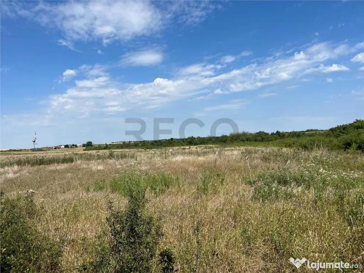 RECO Teren intravilan 3,9 ha -Les - 1