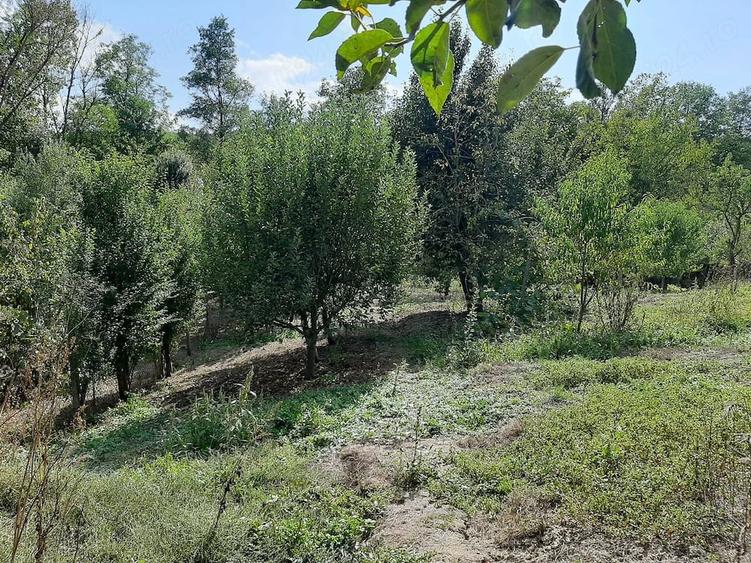 Casă cu 2 camere cu Teren 3840 Mp în Frâncești