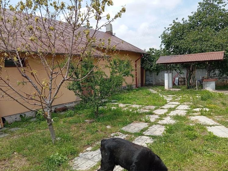 Casa de vanzare - 5