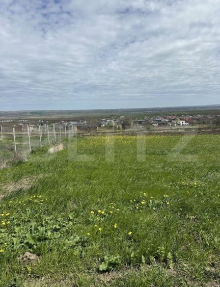 Teren de vanzare intravilan, 10 ari, zona Bosanci - 1