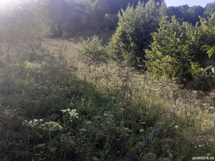 Teren de 6470 mp, în Nădrag