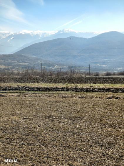 Teren de 2800 mp, în Turnu Roșu