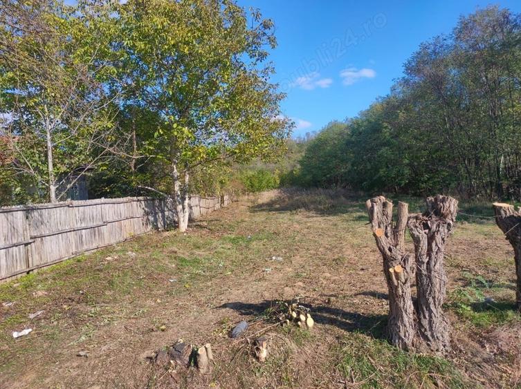 Teren de 7000 mp, în Drăgoești