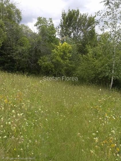 🌲 Vând Teren Extravilan Fâneață, 1522 mp – Arefu, Jud. Argeș (Zona Transfăgărăș
